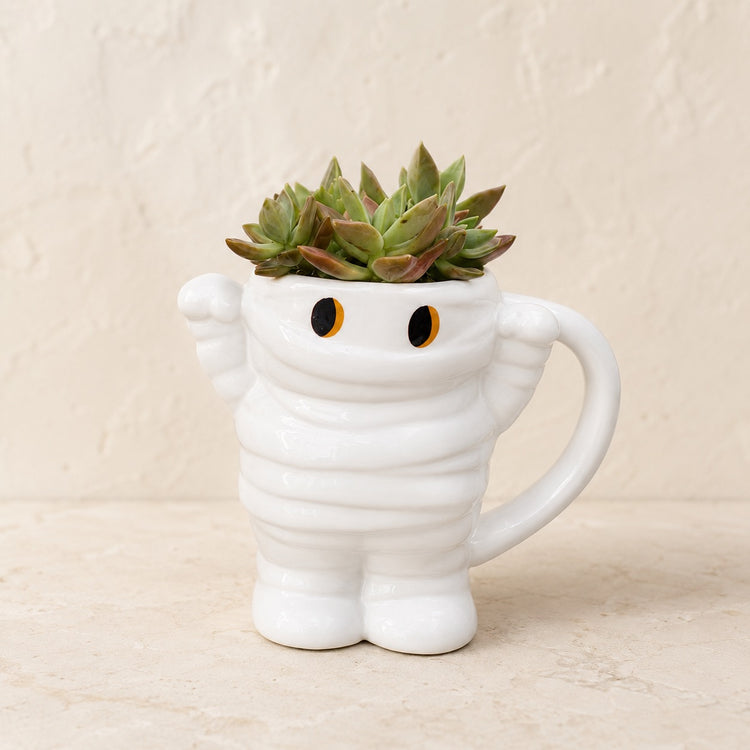 Succulents in a white bandaged mummy mug with orange eyes