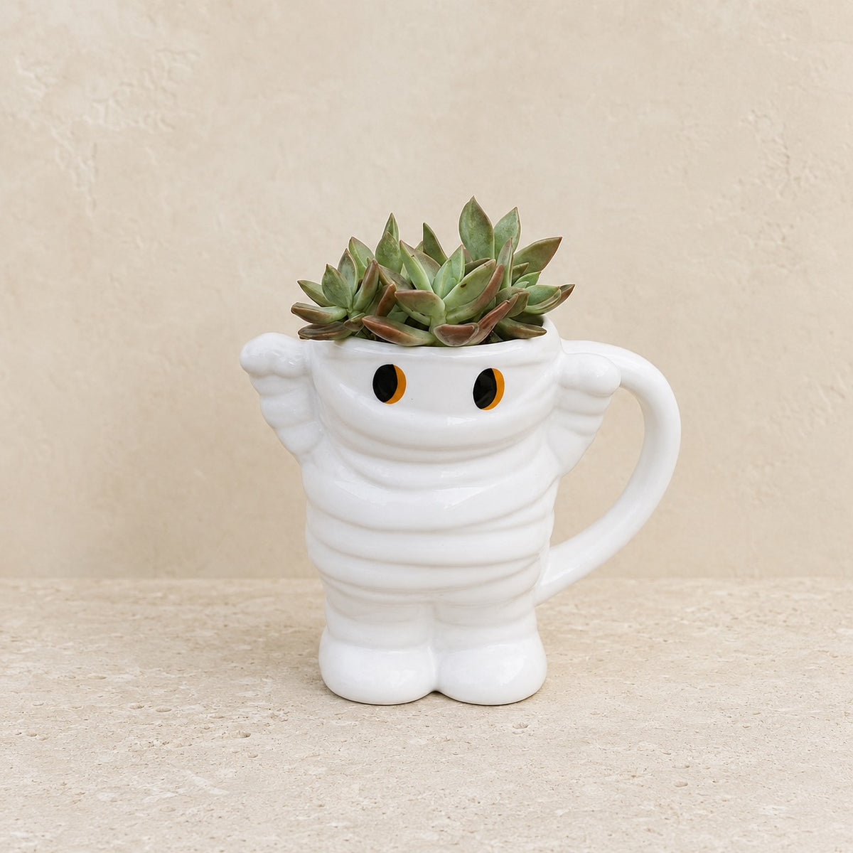 Front view of a mummy mug planted with succulents