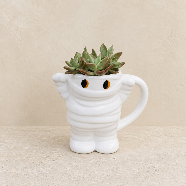 Front view of a mummy mug planted with succulents