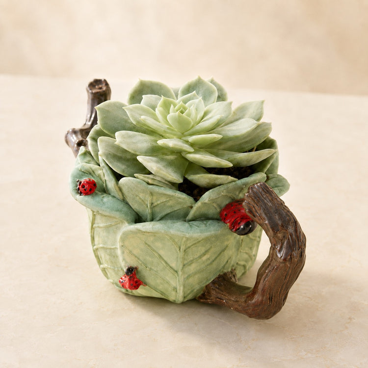 Pale green echeveria in a sculpted leaf mug with a branch handle and ceramic ladybugs