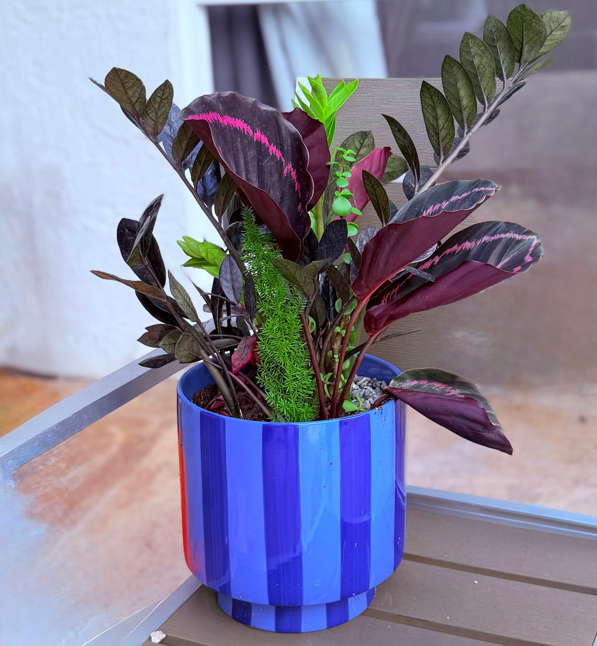 Midnight Raven planted arrangement with dark foliage, pink accents, and greenery in a cobalt-blue planter