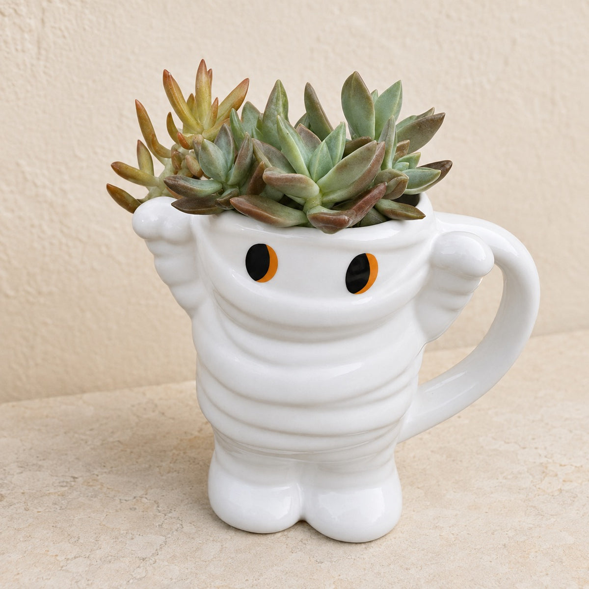 Angled view of a mummy mug planted with succulents