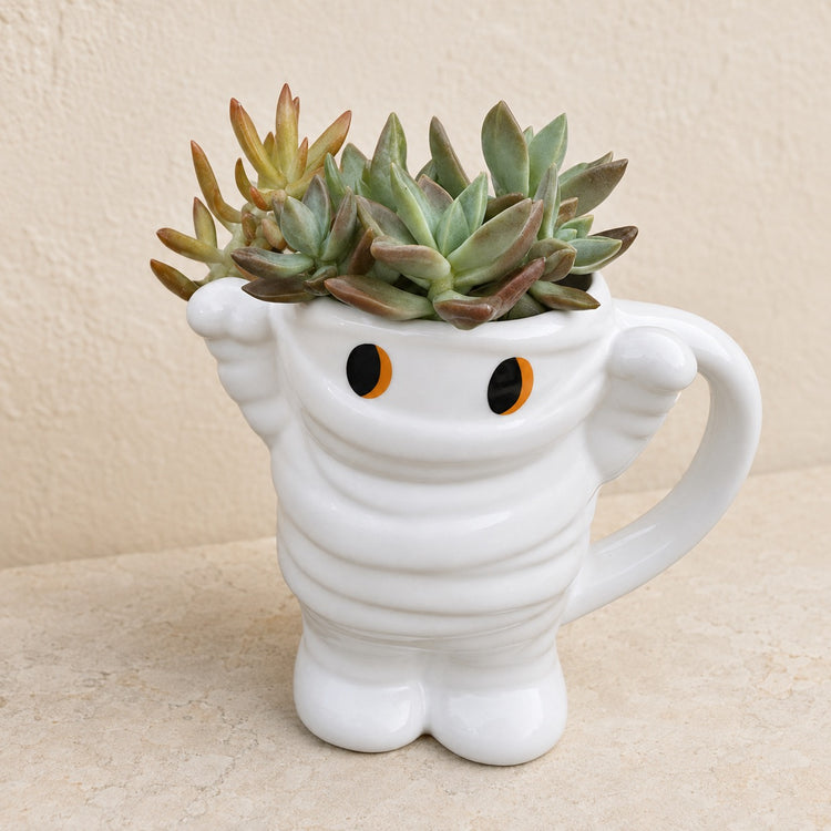 Angled view of a mummy mug planted with succulents