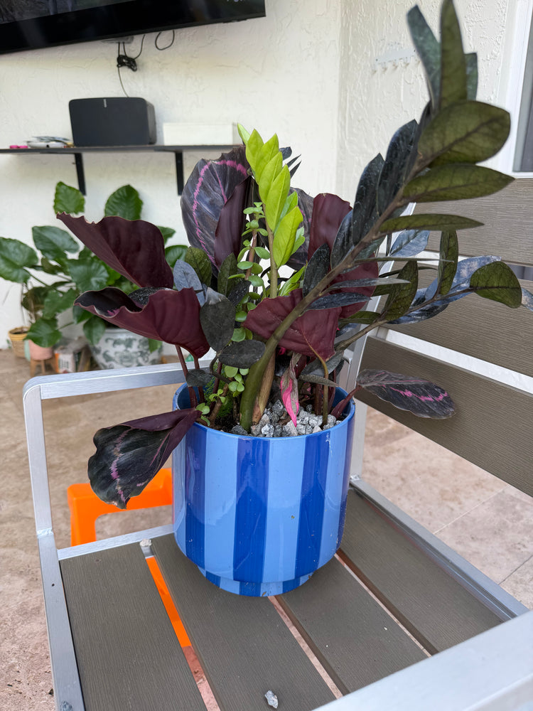 Midnight Raven arrangement, alternate angle